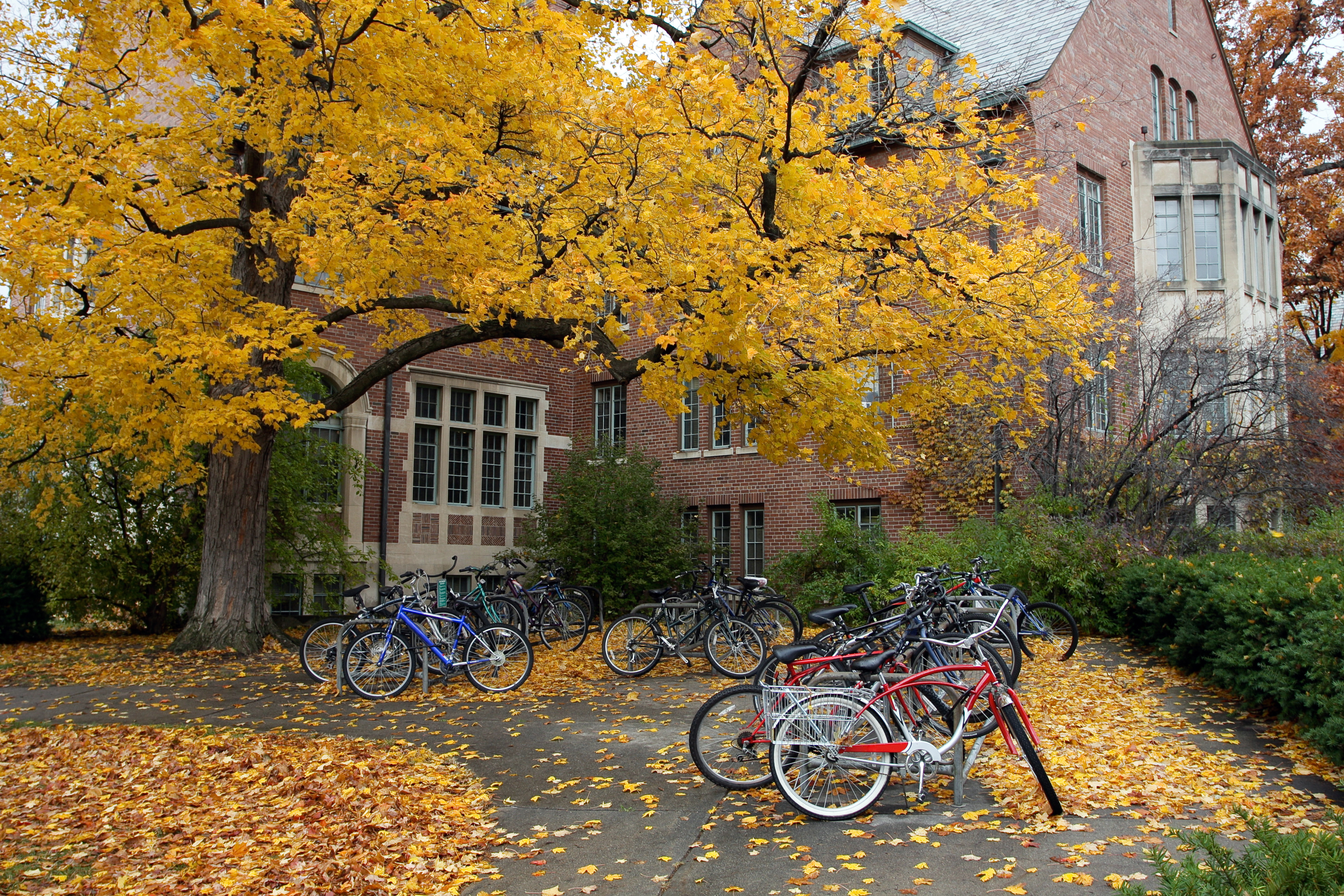 Northeastern college campus in autumn with stone buildings, parked bicycles, and pathways